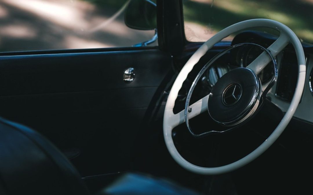 A Day at Disney: How Private 11-seater Car Service  Enhances Your Experience