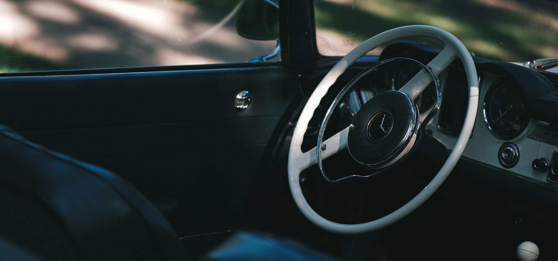A Day at Disney: How Private 11-seater Car Service  Enhances Your Experience